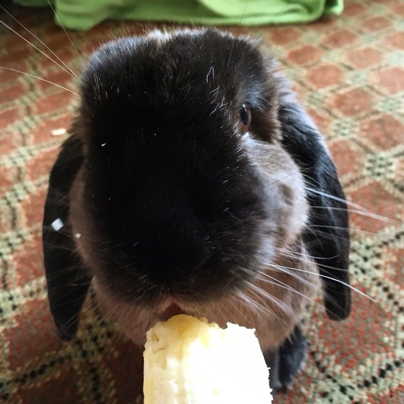 Meet your Posher, Michelle - Picture 3 of 3